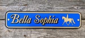custom-signs_Bella-Sophia_2020-12-14_220726.jpg - Thumb Gallery Image of Custom Signs