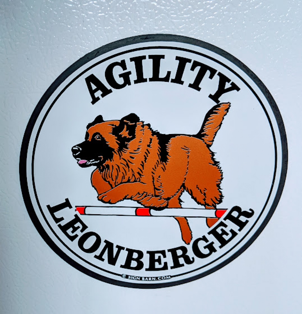 leonberger agility