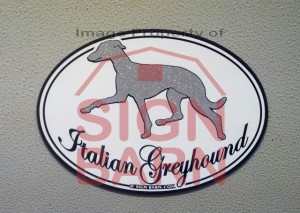 Slideshow Image - Italian Greyhound