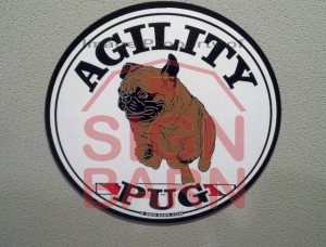 Slideshow Image - Pug Agility
