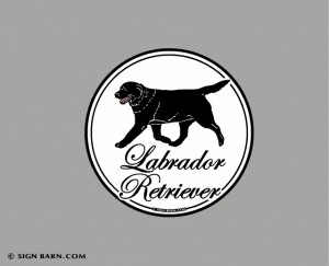 Slideshow Image - Labrador Breed Magnet