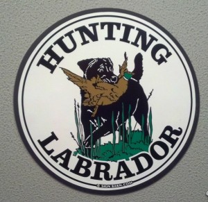Slideshow Image - Hunting Labrador