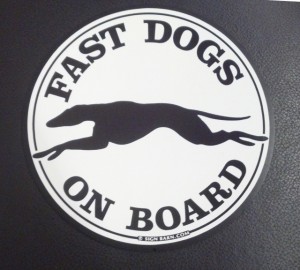 Slideshow Image - Fast Dogs on Board