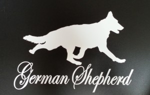 Slideshow Image - German Shepherd
