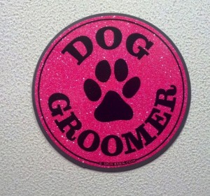 magnet in glitter pink