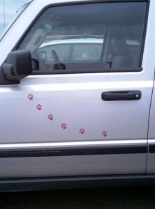 Slideshow Image - paw print decals on a car