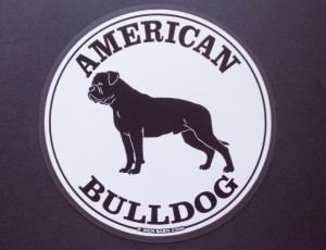 Slideshow Image - American Bulldog