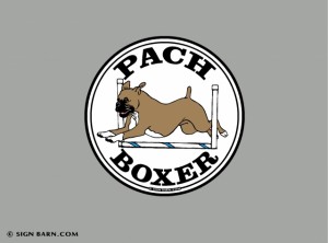 Slideshow Image - PACH Boxer