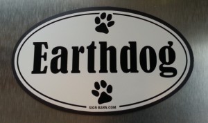 decal or magnet