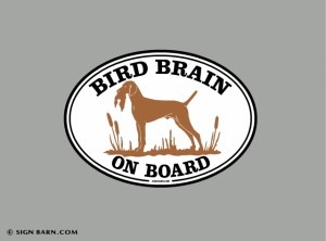Bird Brain on board!