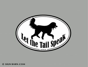 Slideshow Image - Poodle, let the tail speak!