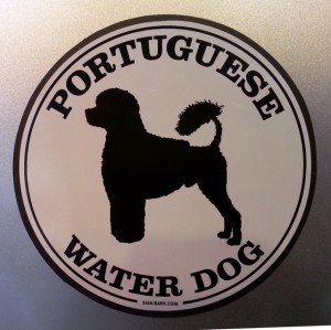 Slideshow Image - PWD breed decal or magnet