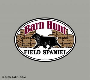 Barn Hunt
