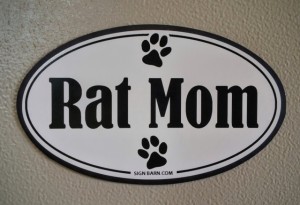 Decal or Magnet