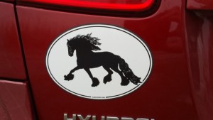 decal or magnet