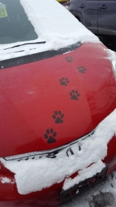 <p>2" PAW PRINT DECALS IN BLACK</p>